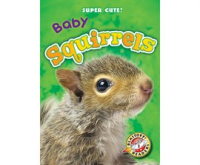 Baby_Squirrels